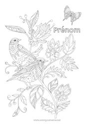 Coloriage gratuit Fleurs Mandala Oiseau Papillon Animal Insectes Oiseaux et mammifères volants Colibri