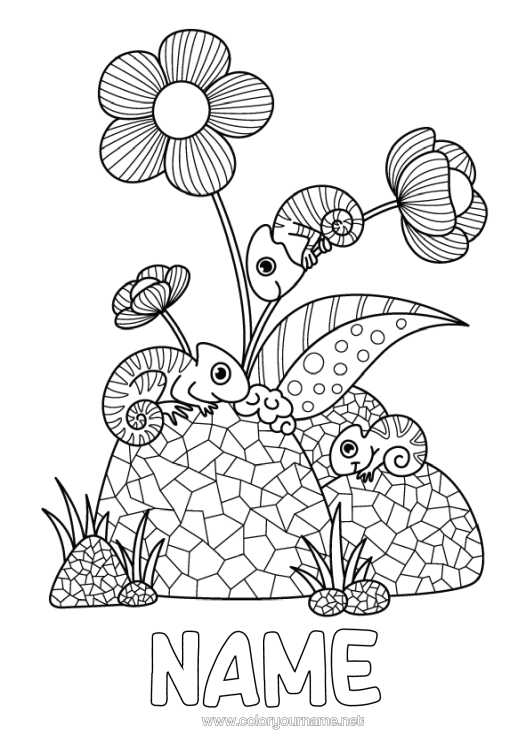 Colouring page to print Flowers Summer Animal Intermediate Colouring Sheets Chameleon Reptiles Hibiscus