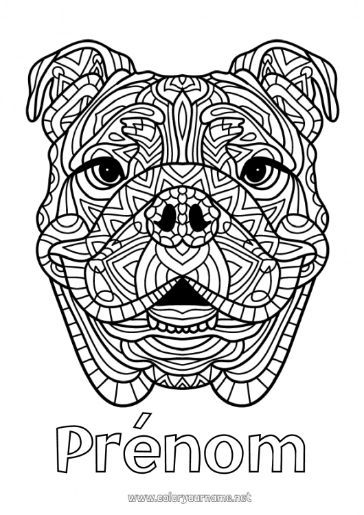 Coloriage à imprimer Mandala Chien Animal Chiens et chats