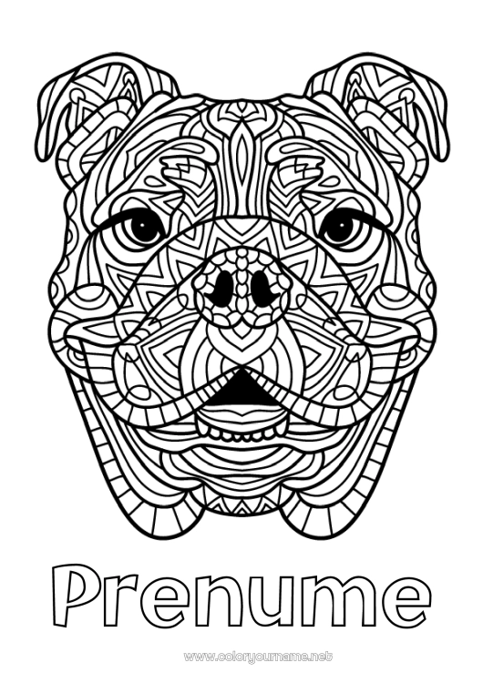 Pagină de colorat de imprimat Mandala Câine Animal Câini și pisici