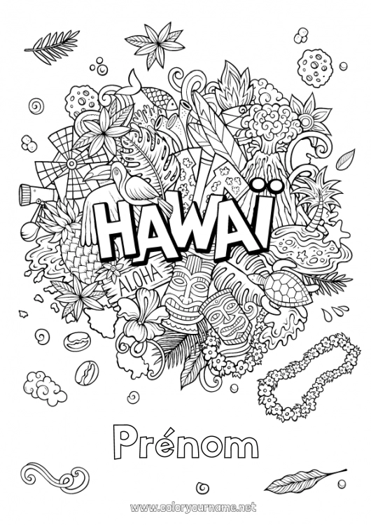 Coloriage à imprimer USA Géographie Coloriages complexes Pays