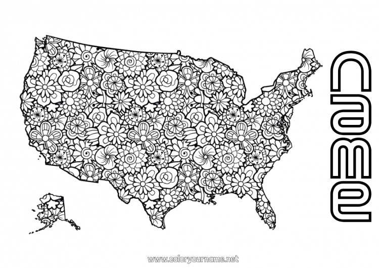 Coloring page to print Flowers Mandala USA Complex coloring pages Country