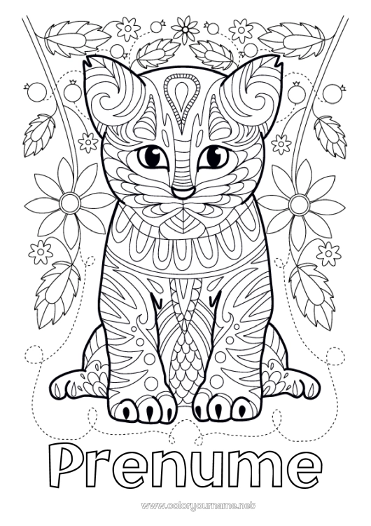 Pagină de colorat de imprimat Drăguț Flori Pisică Mandala Animal Câini și pisici