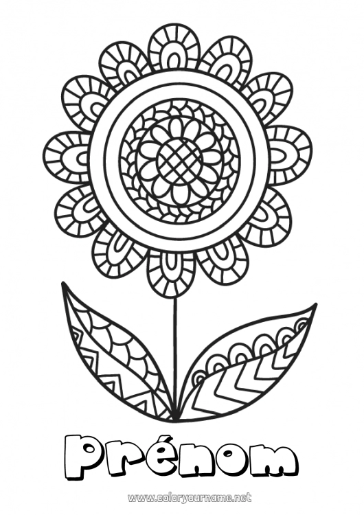 Coloriage à imprimer Fleurs Mandala Bonne fête Printemps Coloriages intermédiaires