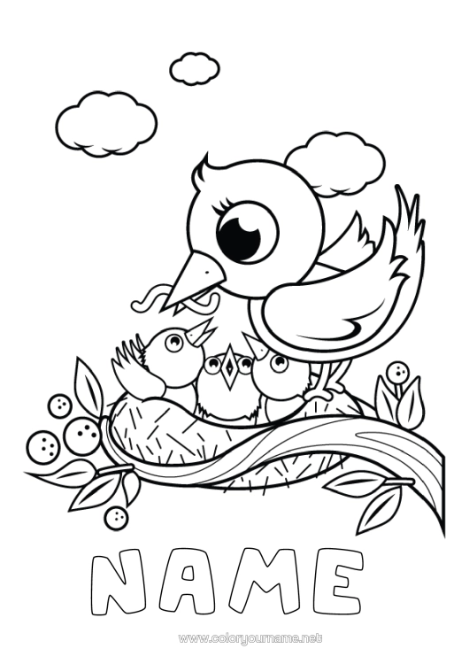 Colouring page to print Bird Spring Animal Birds And Flying Mammals Bird's Nest Cub