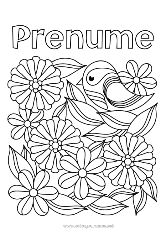 Pagină de colorat de imprimat Flori Pasăre Primăvară Animal Păsări și mamifere zburătoare