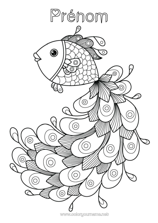 Coloriage à imprimer Mandala Animal Poisson Paon Coloriages complexes Animaux marins ou aquatique Oiseaux et mammifères volants Plume