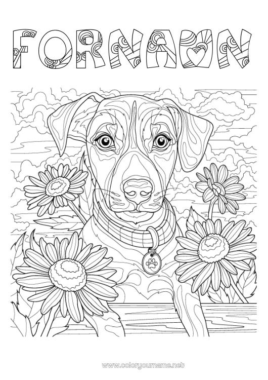 Färgläggningssida att skriva ut Blommor Hund Djur Komplexa målarbilder Hundar och katter