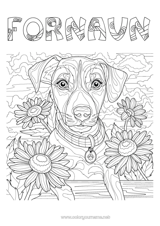 Fargeleggingssiden til utskrift Blomster Hund Dyr Komplekse fargelegginger Hunder og katter