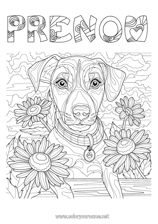 Coloriage à imprimer Fleurs Chien Animal Coloriages complexes Chiens et chats