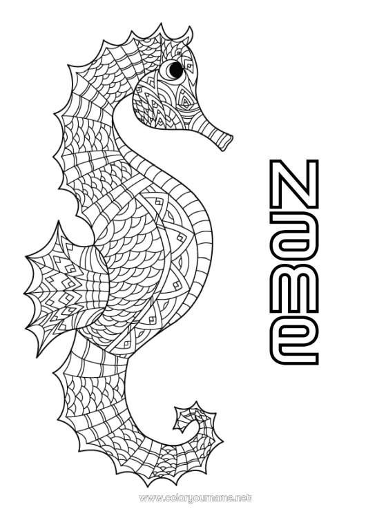Colouring page to print Mandala Sea Animal Seahorse Marine Or Aquatic Animals