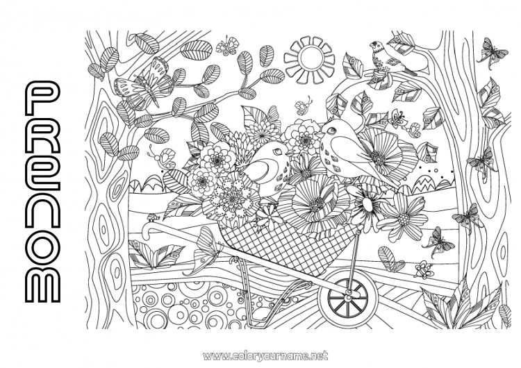 Coloriage à imprimer Fleurs Mandala Oiseau Printemps Papillon Animal Insectes Oiseaux et mammifères volants