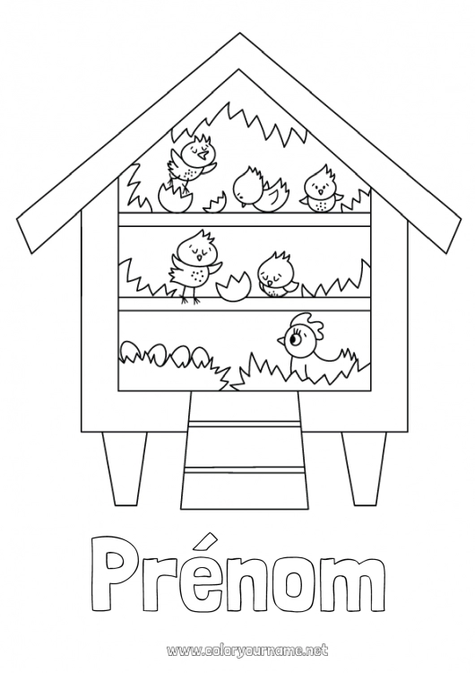 Coloriage à imprimer Poule Poussin Animal Ferme Maison Animaux de la ferme