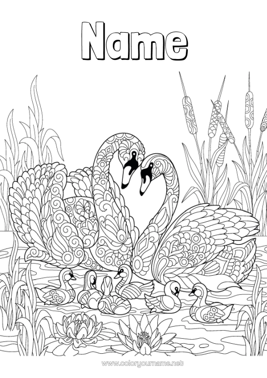 Colouring page to print Mandala Bird Animal Swan Birds And Flying Mammals
