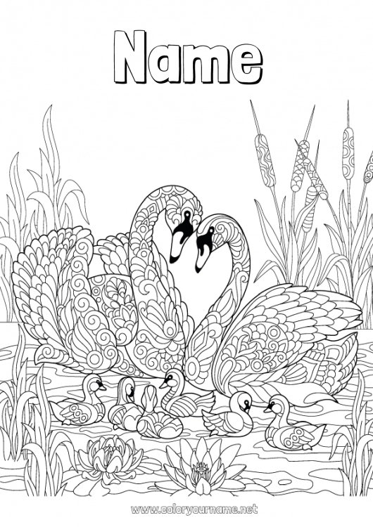 Coloring page to print Mandala Bird Swan Flying birds and mammals