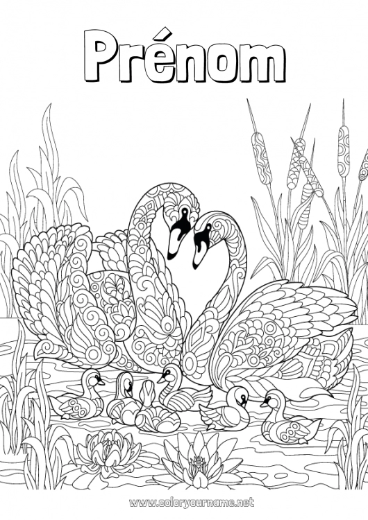 Coloriage à imprimer Mandala Oiseau Cygne Oiseaux et mammifères volants