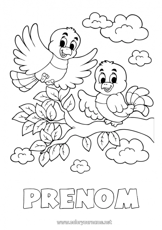 Coloriage à imprimer Oiseau Printemps Animal Oiseaux et mammifères volants