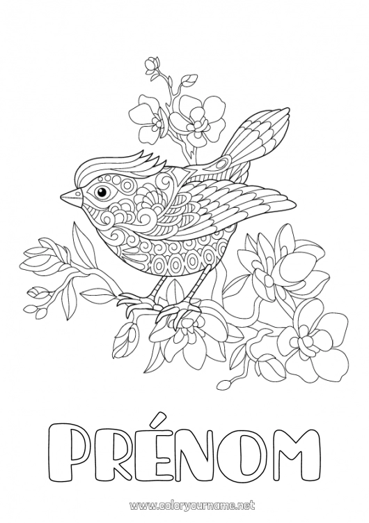 Coloriage à imprimer Fleurs Mandala Oiseau Printemps Animal Oiseaux et mammifères volants