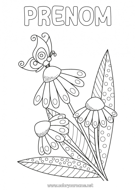 Coloriage à imprimer Fleurs Été Printemps Papillon Animal Marguerite Insectes