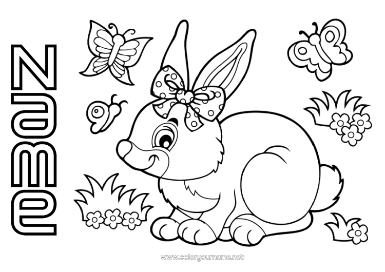 Colouring page to print Spring Rabbit Butterfly Animal Insects Forest Animals
