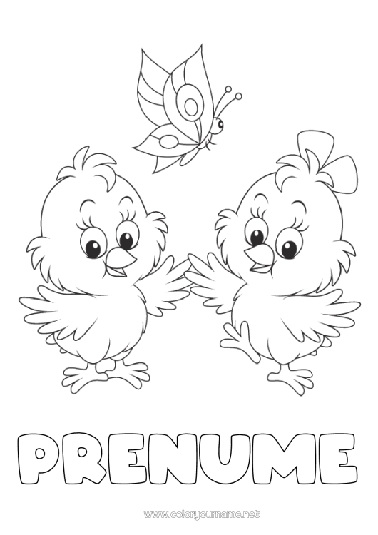 Pagină de colorat de imprimat Primăvară Pui Fluture Animal Insecte Animale de fermă