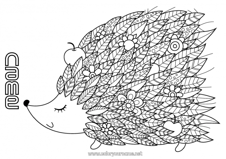 Coloring page to print Hedgehog Mandala Autumn Animal Leaves Forest animals