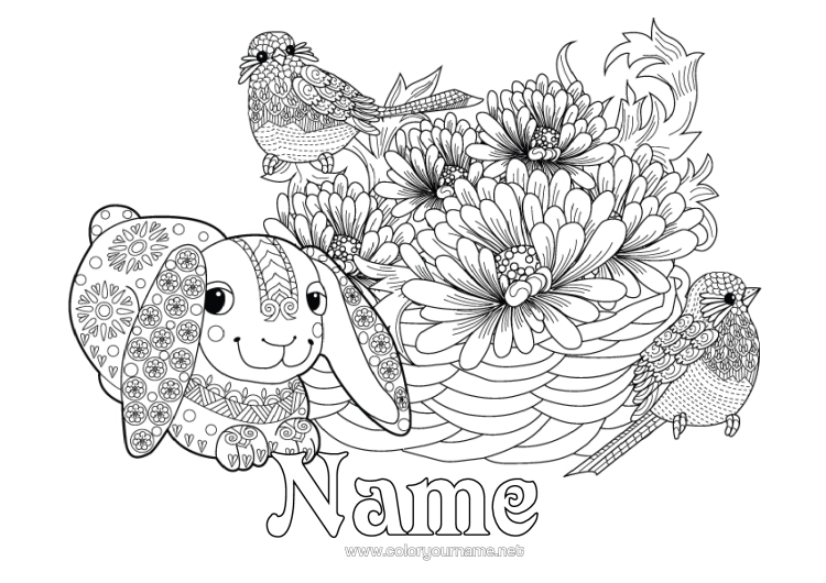 Colouring page to print Spring Animal Birds And Flying Mammals Great Tit