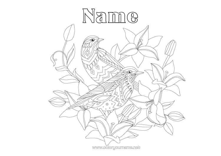 Colouring page to print Mandala Bird Spring Animal Birds And Flying Mammals