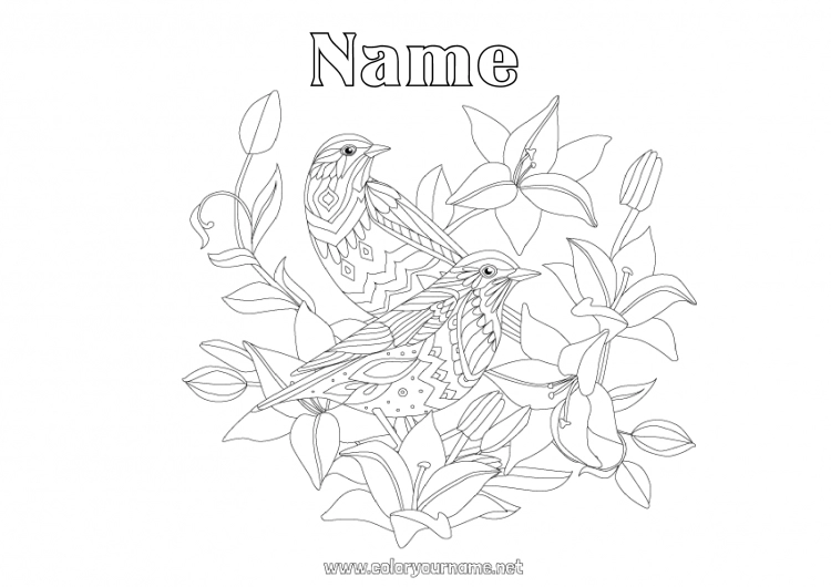 Coloring page to print Mandala Bird Spring Animal Flying birds and mammals