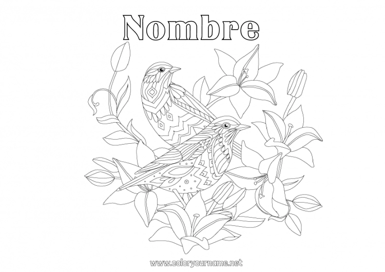 Dibujo para colorear para imprimir Mandala Pájaro Primavera Animales Aves y mamíferos voladores