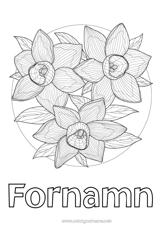 Färgläggningssida att skriva ut Blommor Vår Påskliljor Komplexa målarbilder