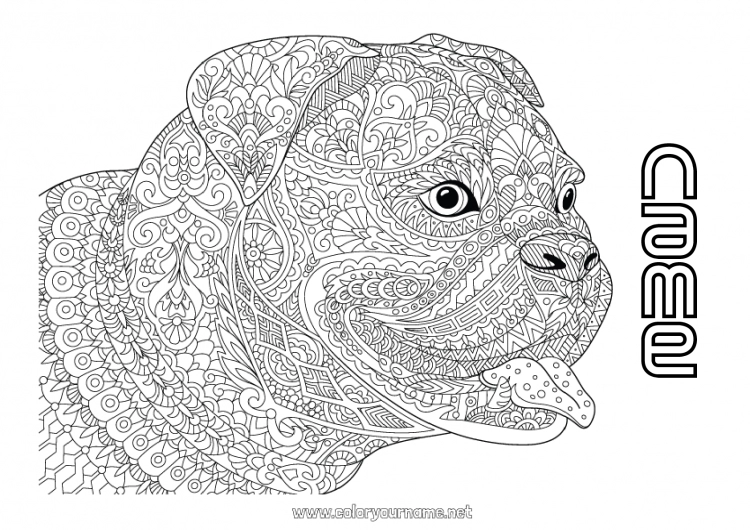 Coloring page to print Mandala Dog Animal Dog and cat