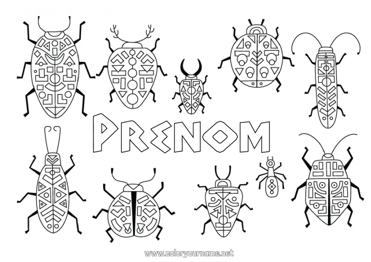 Coloriage à imprimer Animal Égypte Coloriages complexes Insectes