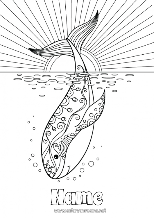 Coloring page to print Whale Sea Animal Marine or aquatic animals Killer whale