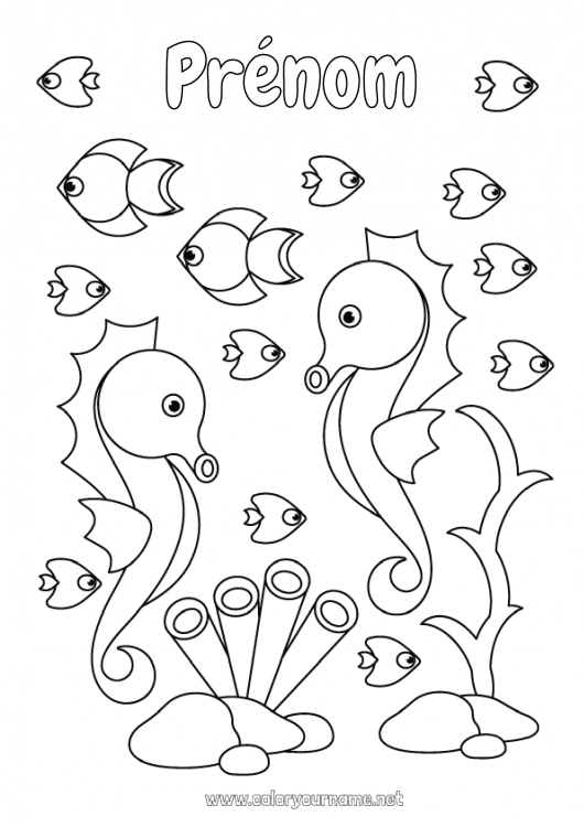 Coloriage à imprimer Mer Animal Poisson Hippocampe Animaux marins ou aquatique