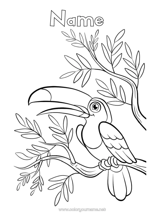 Colouring page to print Bird Animal Toucan Birds And Flying Mammals
