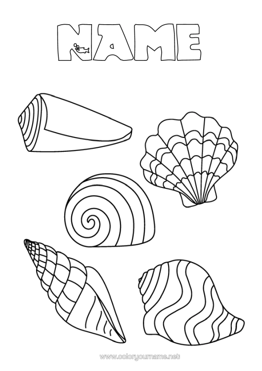 Colouring page to print Summer Sea Animal Shellfish Marine Or Aquatic Animals