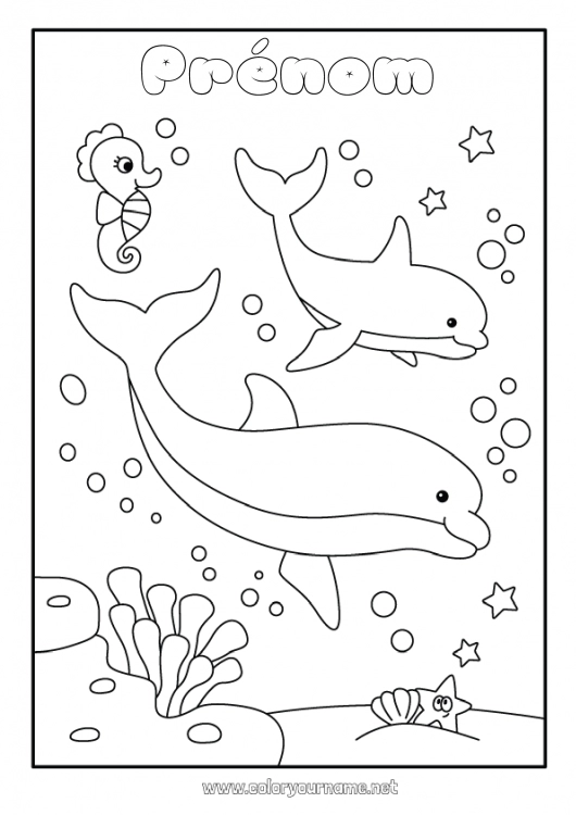 Coloriage à imprimer Mer Animal Dauphin Hippocampe Animaux marins ou aquatique