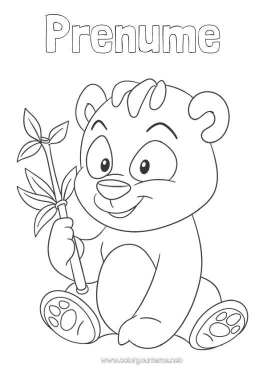 Pagină de colorat de imprimat Drăguț Animal Panda Alte animale din lume