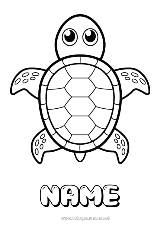 Colouring page to print Cute Tortoise Animal Easy Colouring Pages Marine Or Aquatic Animals Reptiles Sea Turtle Tortoise