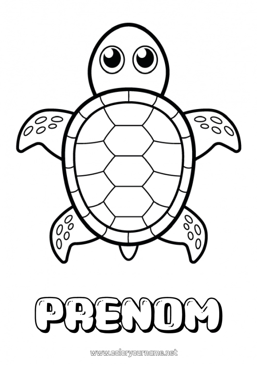 Coloriage à imprimer Mignon Tortue Animal Coloriages faciles Reptiles