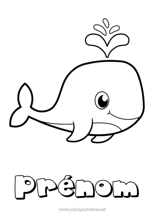 Coloriage à imprimer Mignon Baleine Animal Coloriages faciles Animaux marins ou aquatique