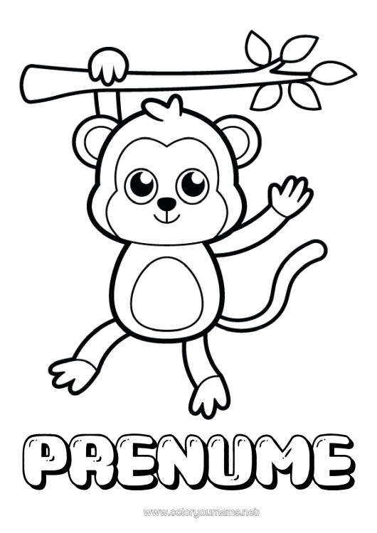 Pagină de colorat de imprimat Drăguț Animal Maimuță Desene de colorat ușoare Animale sălbatice din Africa