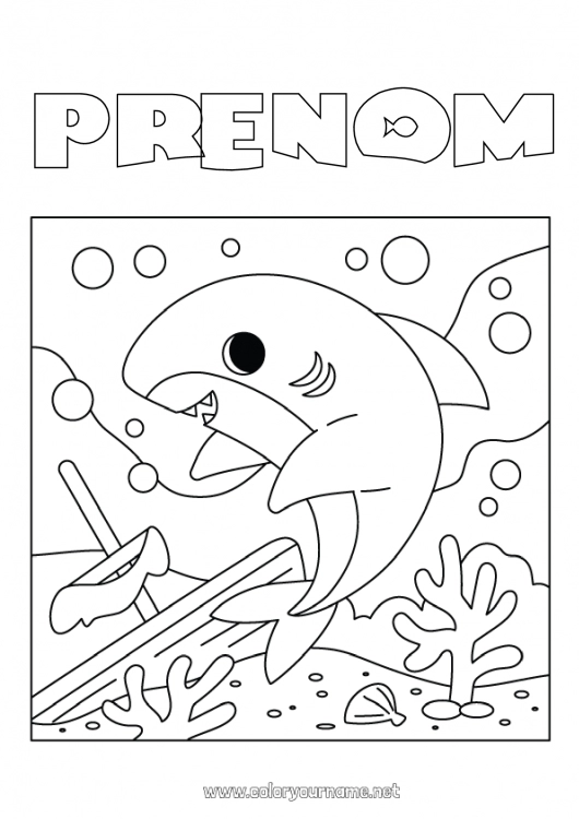 Coloriage à imprimer Mer Animal Coloriages intermédiaires Requin Animaux marins ou aquatique