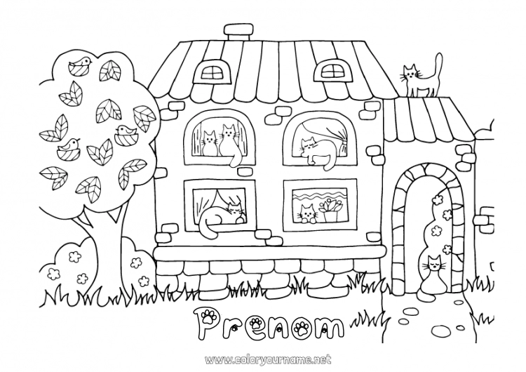 Coloriage à imprimer Chat Kawaii Animal Maison Chiens et chats