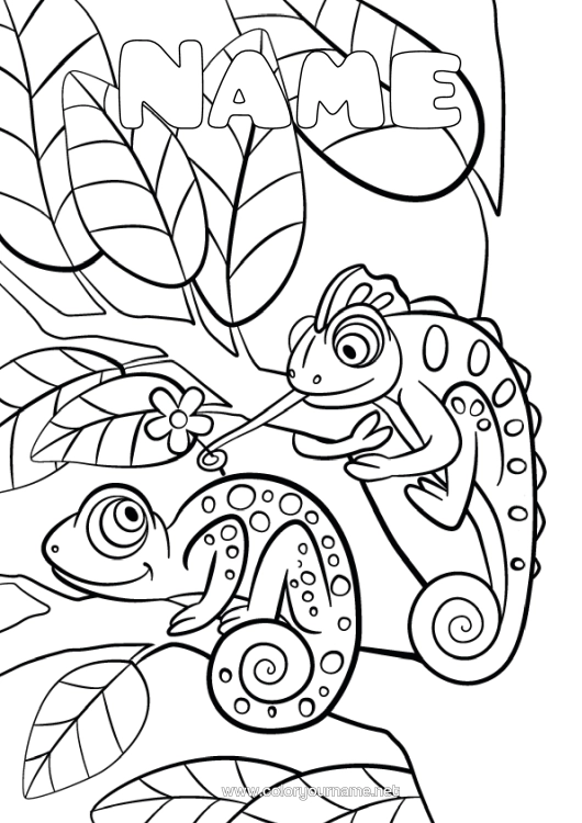 Colouring page to print Animal Chameleon Reptiles