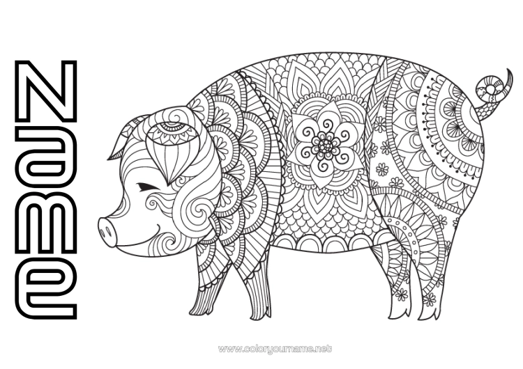 Colouring page to print Mandala Pig Animal Chinese New Year Farm Animals