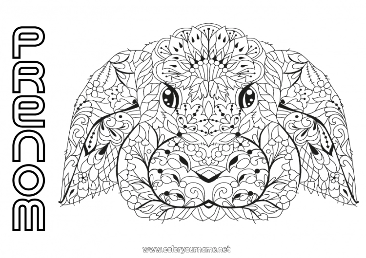 Coloriage à imprimer Mandala Lapin Animal Animaux de la forêt