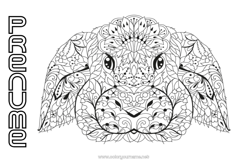 Pagină de colorat de imprimat Mandala Iepure Animal Animale din pădure