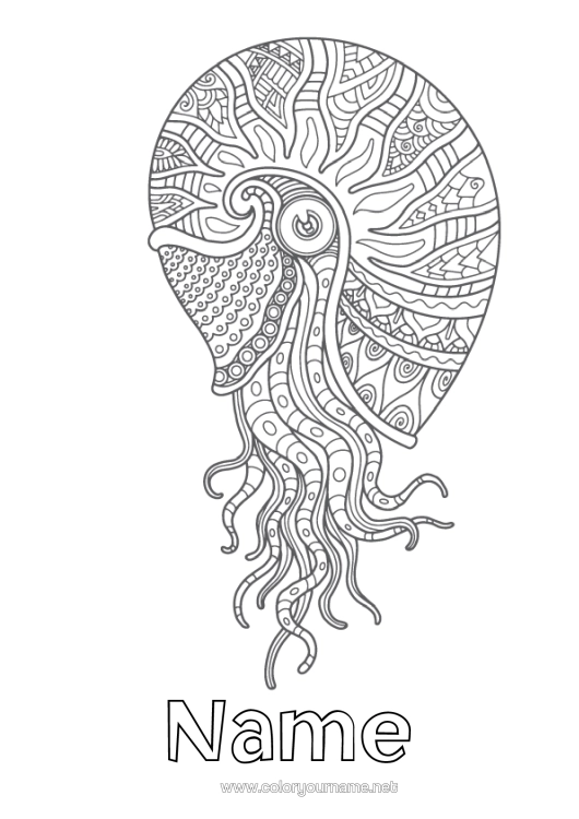 Colouring page to print Mandala Sea Animal Shellfish Complex Colouring Pages Marine Or Aquatic Animals